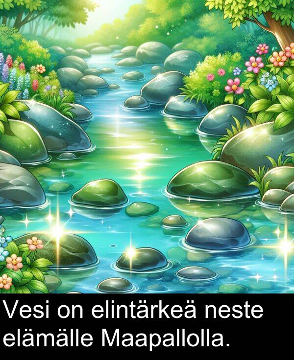 neste: Vesi on elintärkeä neste elämälle Maapallolla.