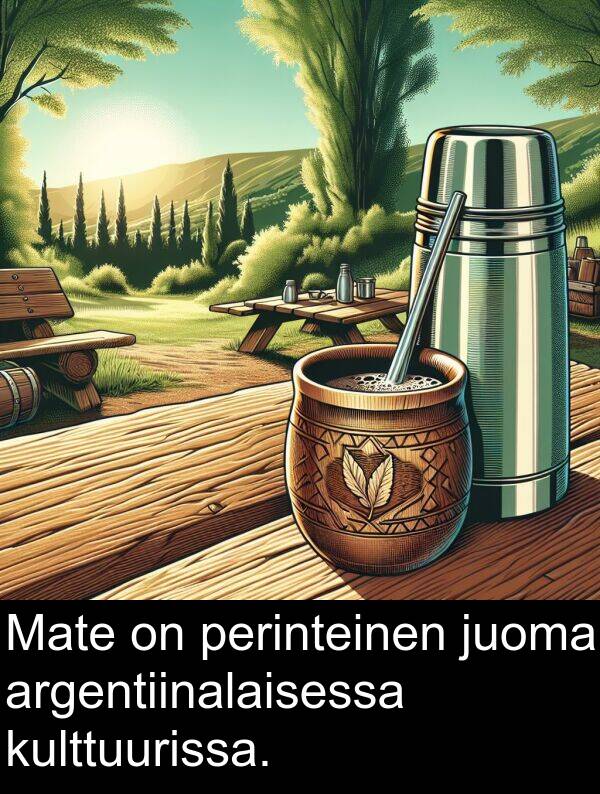 perinteinen: Mate on perinteinen juoma argentiinalaisessa kulttuurissa.