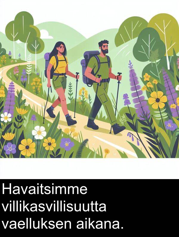 vaelluksen: Havaitsimme villikasvillisuutta vaelluksen aikana.