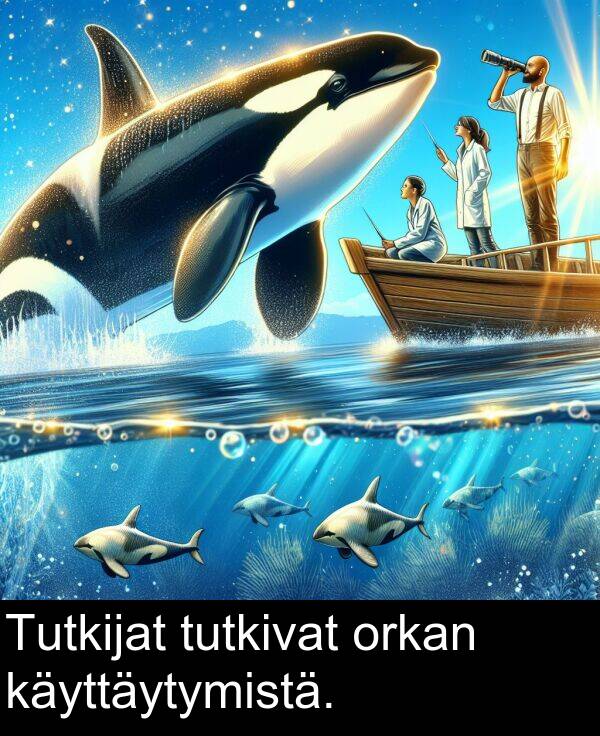tutkivat: Tutkijat tutkivat orkan käyttäytymistä.