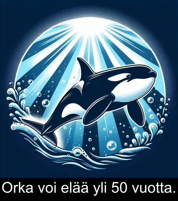 vuotta: Orka voi elää yli 50 vuotta.