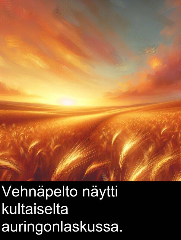 auringonlaskussa: Vehnäpelto näytti kultaiselta auringonlaskussa.