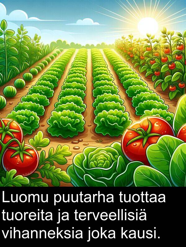 vihanneksia: Luomu puutarha tuottaa tuoreita ja terveellisiä vihanneksia joka kausi.