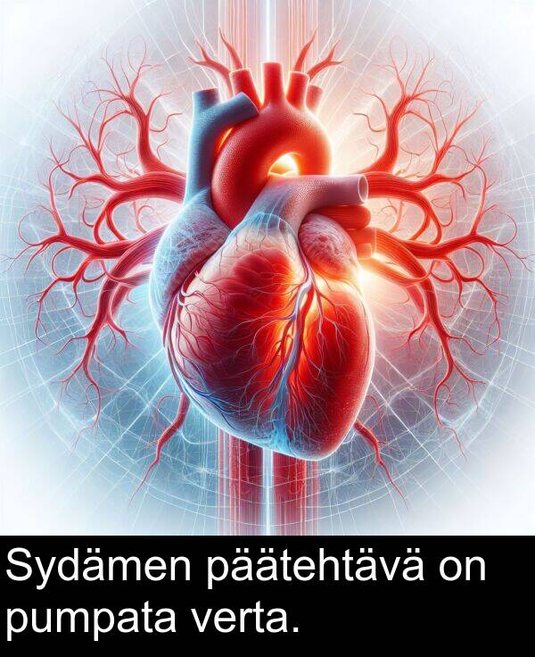 päätehtävä: Sydämen päätehtävä on pumpata verta.