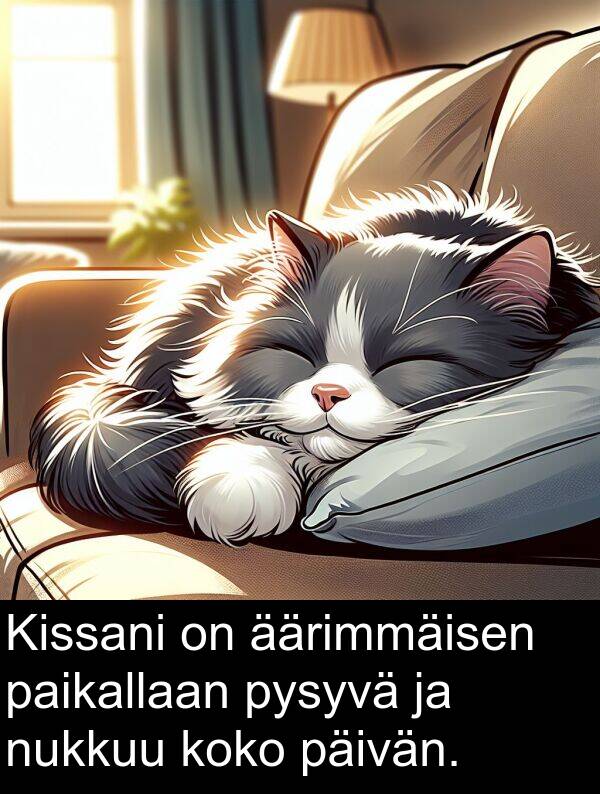 äärimmäisen: Kissani on äärimmäisen paikallaan pysyvä ja nukkuu koko päivän.