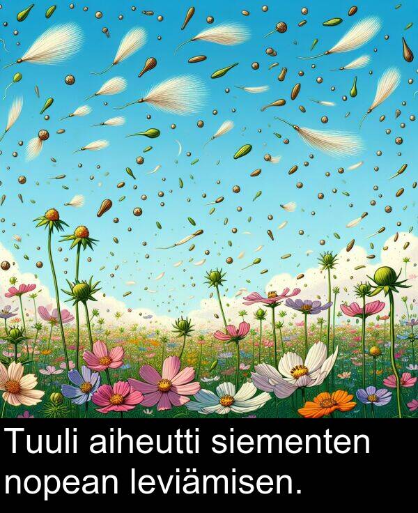 siementen: Tuuli aiheutti siementen nopean leviämisen.