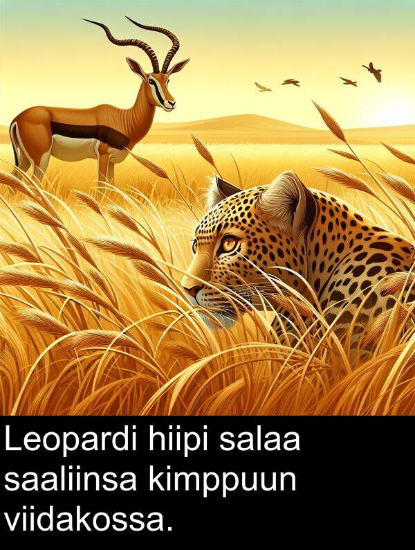 salaa: Leopardi hiipi salaa saaliinsa kimppuun viidakossa.