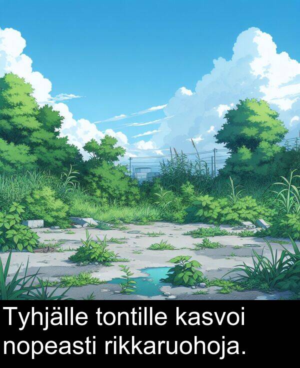 tontille: Tyhjälle tontille kasvoi nopeasti rikkaruohoja.