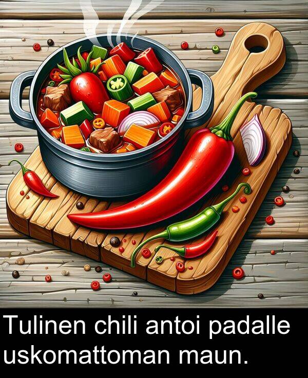 chili: Tulinen chili antoi padalle uskomattoman maun.