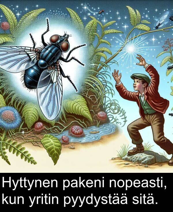 yritin: Hyttynen pakeni nopeasti, kun yritin pyydystää sitä.