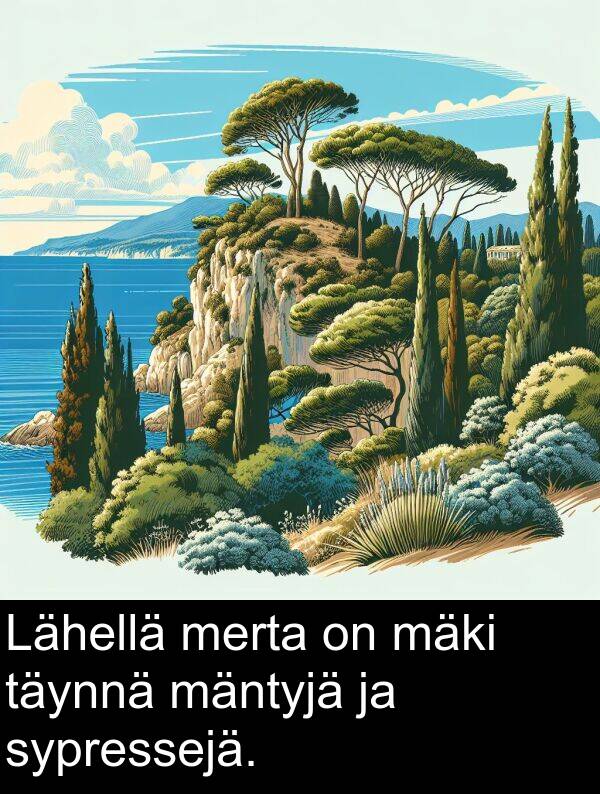 sypressejä: Lähellä merta on mäki täynnä mäntyjä ja sypressejä.