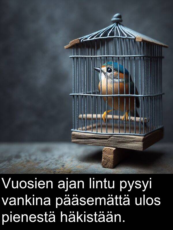 ulos: Vuosien ajan lintu pysyi vankina pääsemättä ulos pienestä häkistään.