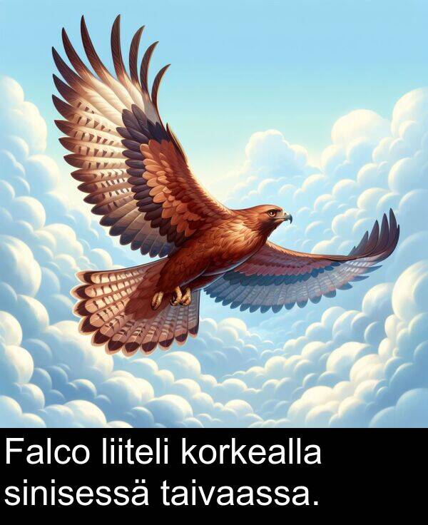 taivaassa: Falco liiteli korkealla sinisessä taivaassa.