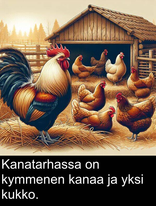 yksi: Kanatarhassa on kymmenen kanaa ja yksi kukko.