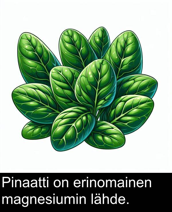 lähde: Pinaatti on erinomainen magnesiumin lähde.