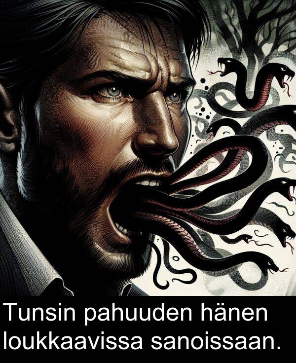 sanoissaan: Tunsin pahuuden hänen loukkaavissa sanoissaan.