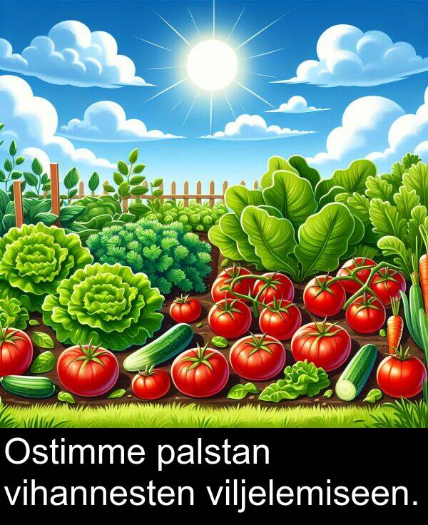viljelemiseen: Ostimme palstan vihannesten viljelemiseen.