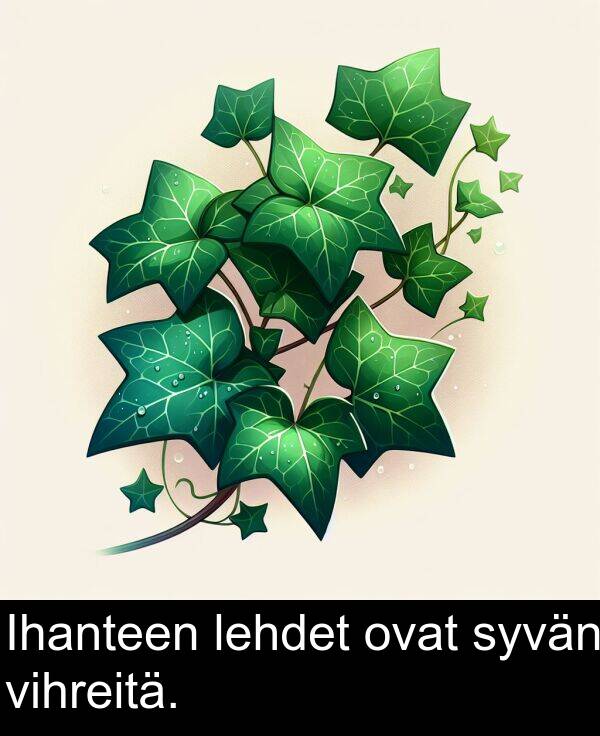 syvän: Ihanteen lehdet ovat syvän vihreitä.