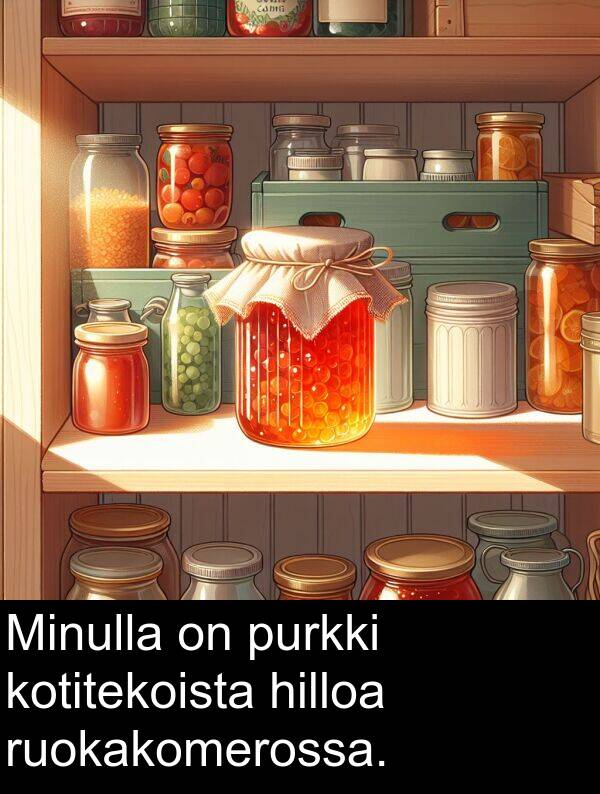 purkki: Minulla on purkki kotitekoista hilloa ruokakomerossa.