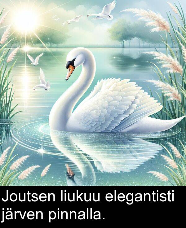 pinnalla: Joutsen liukuu elegantisti järven pinnalla.