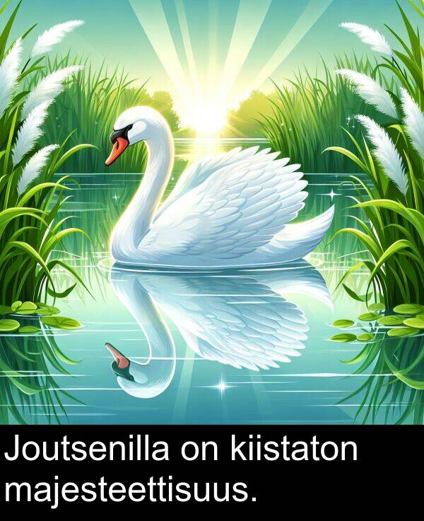 majesteettisuus: Joutsenilla on kiistaton majesteettisuus.