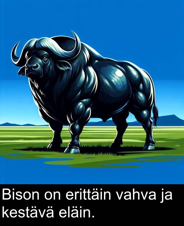eläin: Bison on erittäin vahva ja kestävä eläin.