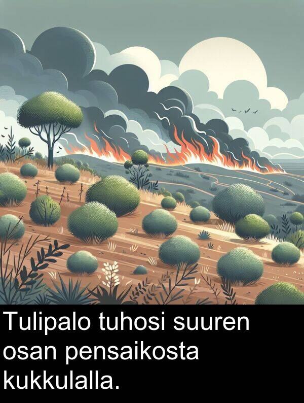 suuren: Tulipalo tuhosi suuren osan pensaikosta kukkulalla.