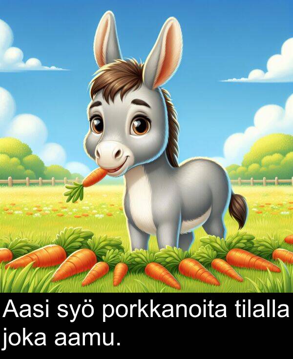 joka: Aasi syö porkkanoita tilalla joka aamu.