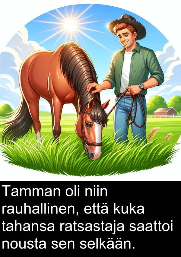 rauhallinen: Tamman oli niin rauhallinen, että kuka tahansa ratsastaja saattoi nousta sen selkään.
