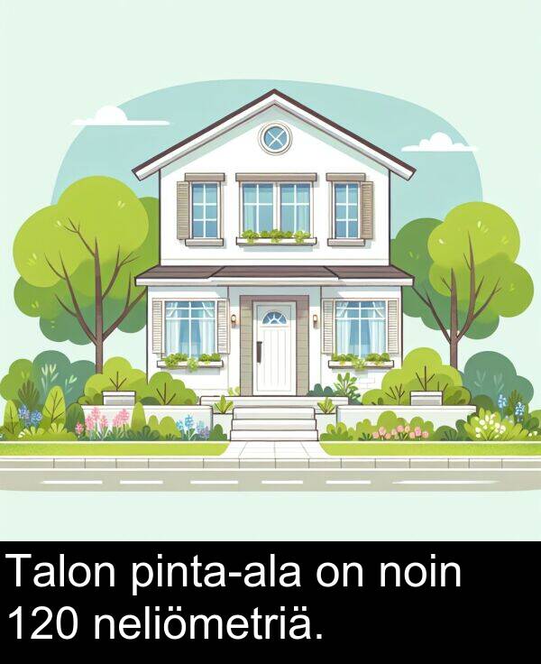 noin: Talon pinta-ala on noin 120 neliömetriä.