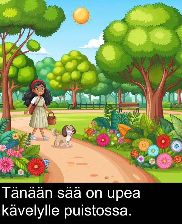 puistossa: Tänään sää on upea kävelylle puistossa.