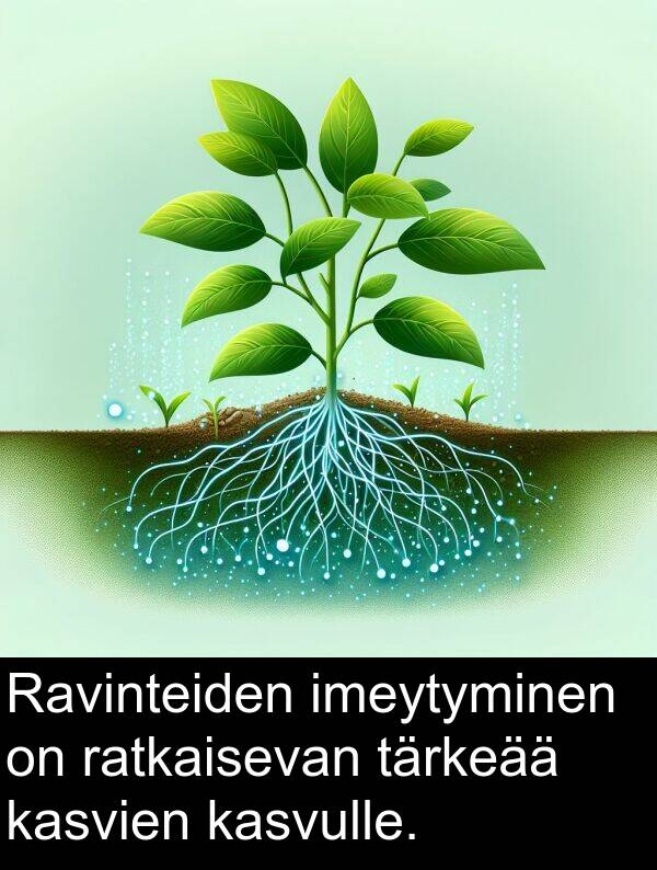 tärkeää: Ravinteiden imeytyminen on ratkaisevan tärkeää kasvien kasvulle.