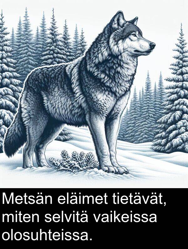 selvitä: Metsän eläimet tietävät, miten selvitä vaikeissa olosuhteissa.