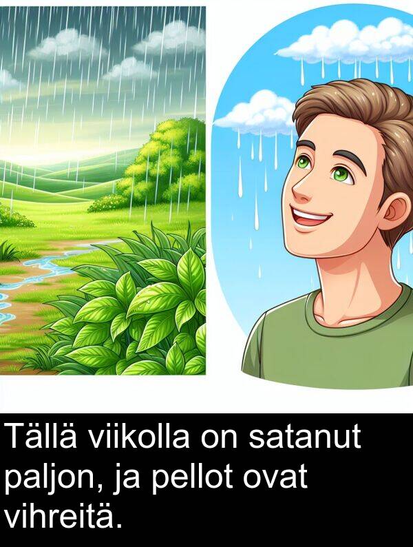 satanut: Tällä viikolla on satanut paljon, ja pellot ovat vihreitä.