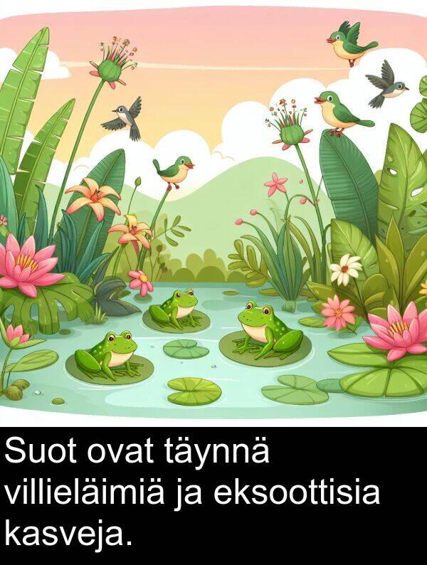 villieläimiä: Suot ovat täynnä villieläimiä ja eksoottisia kasveja.