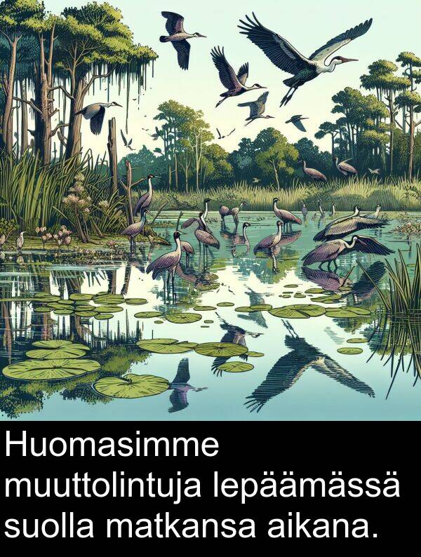 suolla: Huomasimme muuttolintuja lepäämässä suolla matkansa aikana.