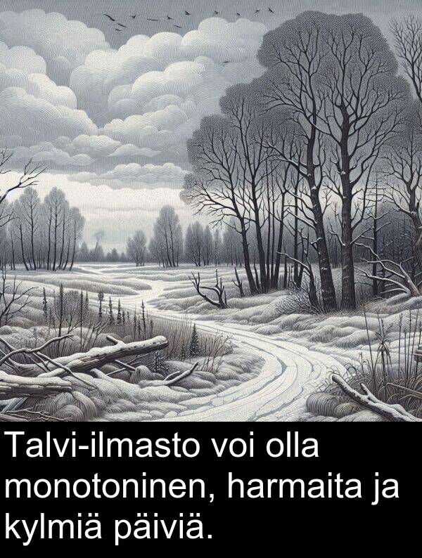 kylmiä: Talvi-ilmasto voi olla monotoninen, harmaita ja kylmiä päiviä.