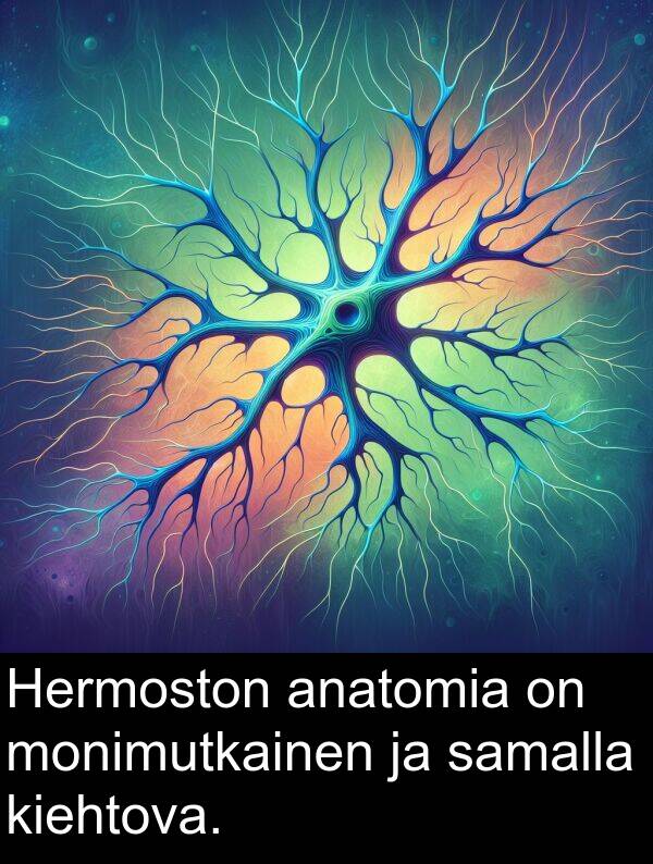 samalla: Hermoston anatomia on monimutkainen ja samalla kiehtova.