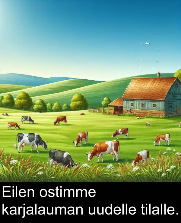uudelle: Eilen ostimme karjalauman uudelle tilalle.