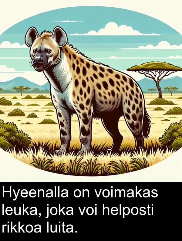 leuka: Hyeenalla on voimakas leuka, joka voi helposti rikkoa luita.