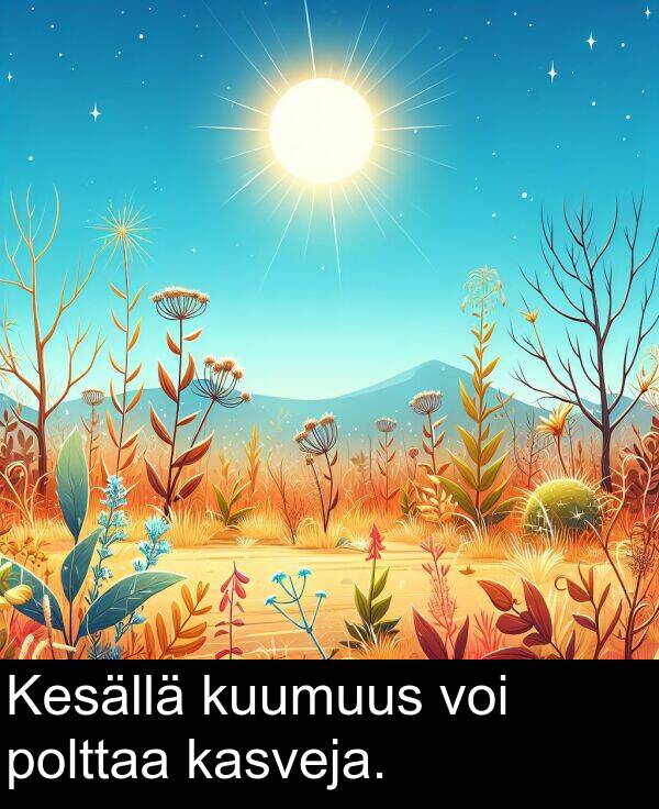 polttaa: Kesällä kuumuus voi polttaa kasveja.