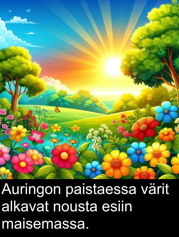 värit: Auringon paistaessa värit alkavat nousta esiin maisemassa.