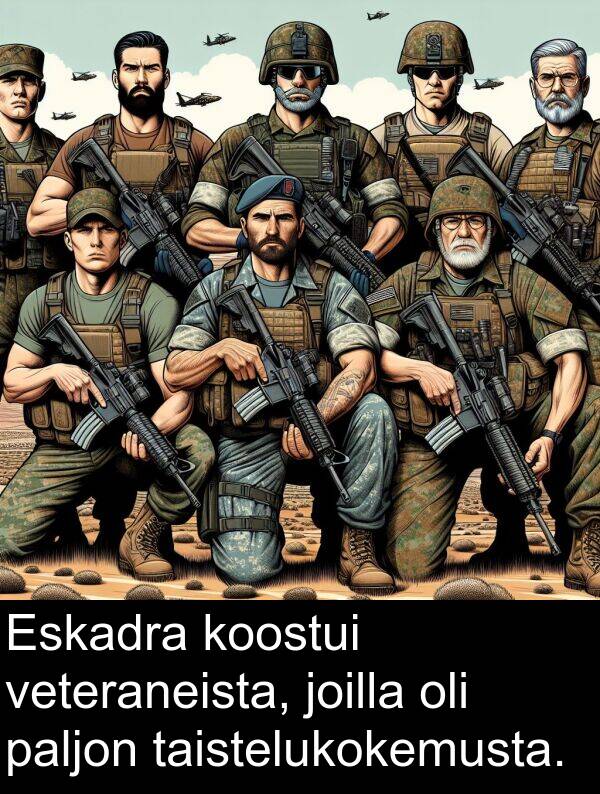 paljon: Eskadra koostui veteraneista, joilla oli paljon taistelukokemusta.