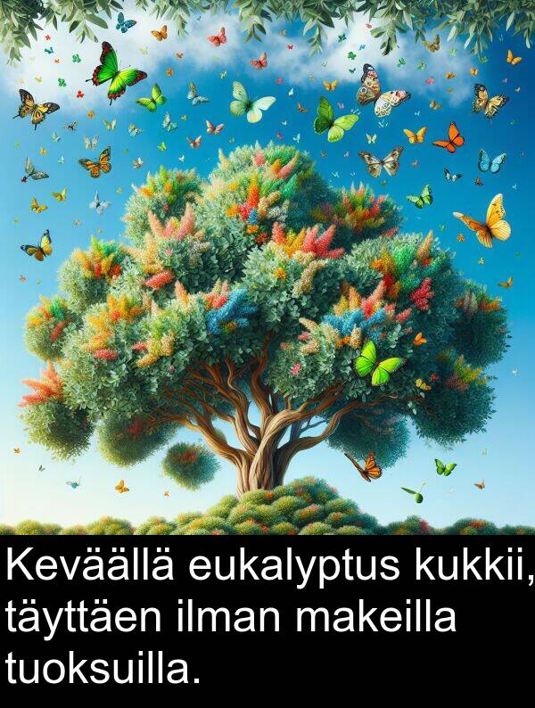 ilman: Keväällä eukalyptus kukkii, täyttäen ilman makeilla tuoksuilla.
