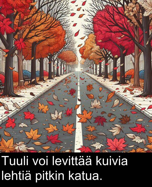 katua: Tuuli voi levittää kuivia lehtiä pitkin katua.