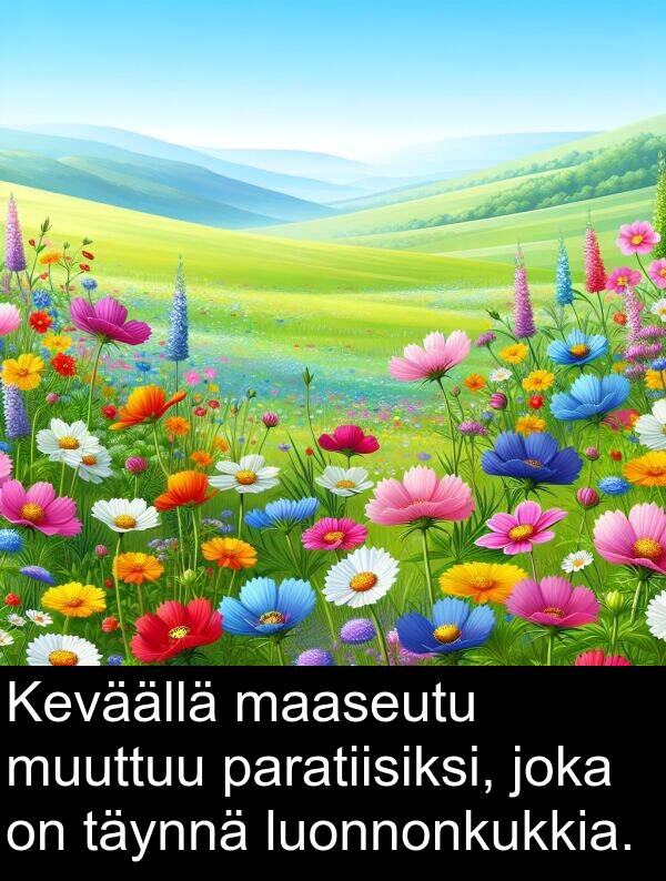 luonnonkukkia: Keväällä maaseutu muuttuu paratiisiksi, joka on täynnä luonnonkukkia.