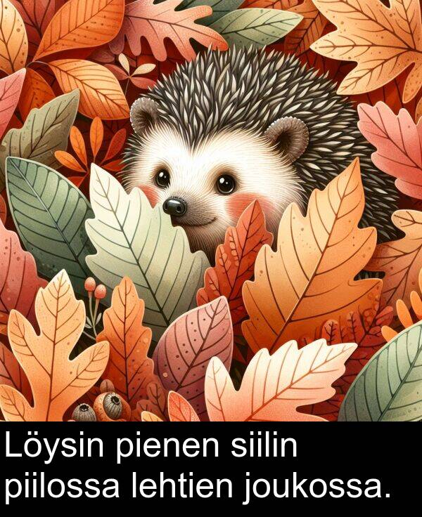 siilin: Löysin pienen siilin piilossa lehtien joukossa.