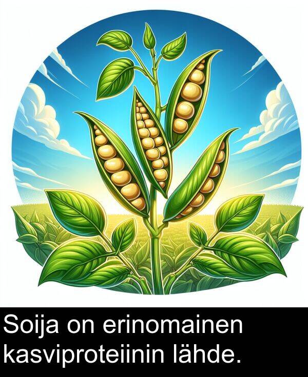 lähde: Soija on erinomainen kasviproteiinin lähde.