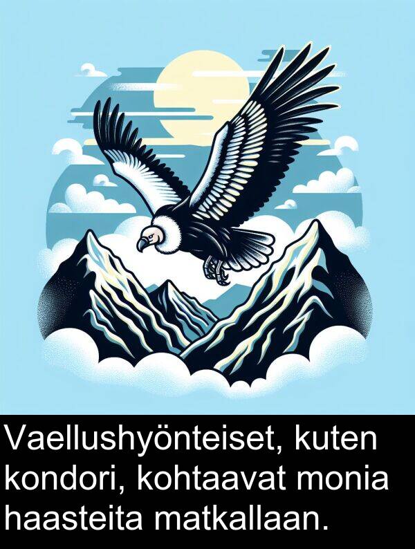 matkallaan: Vaellushyönteiset, kuten kondori, kohtaavat monia haasteita matkallaan.