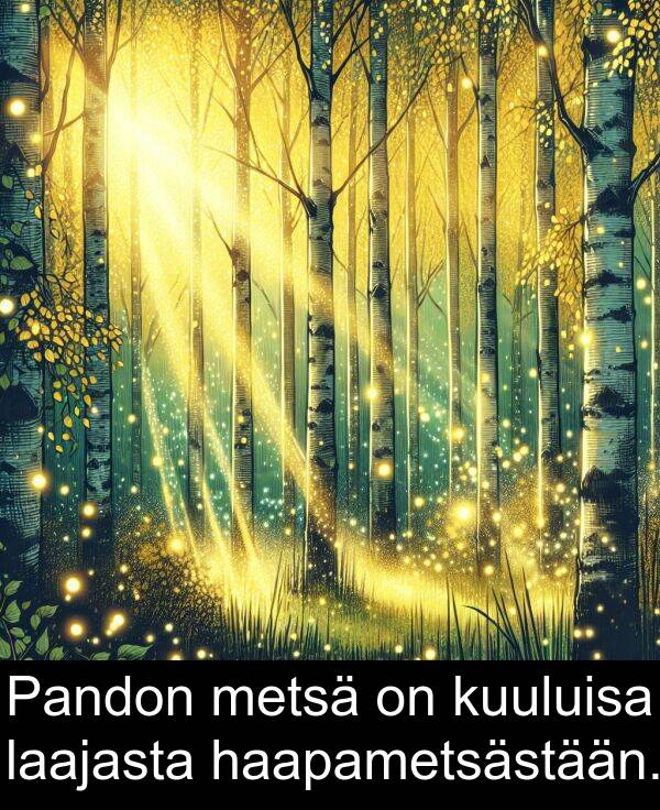 laajasta: Pandon metsä on kuuluisa laajasta haapametsästään.